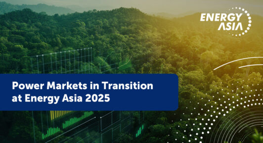 A lush jungle with the words 'Power Markets in Transition at Energy Asia 2025' imposed on top.